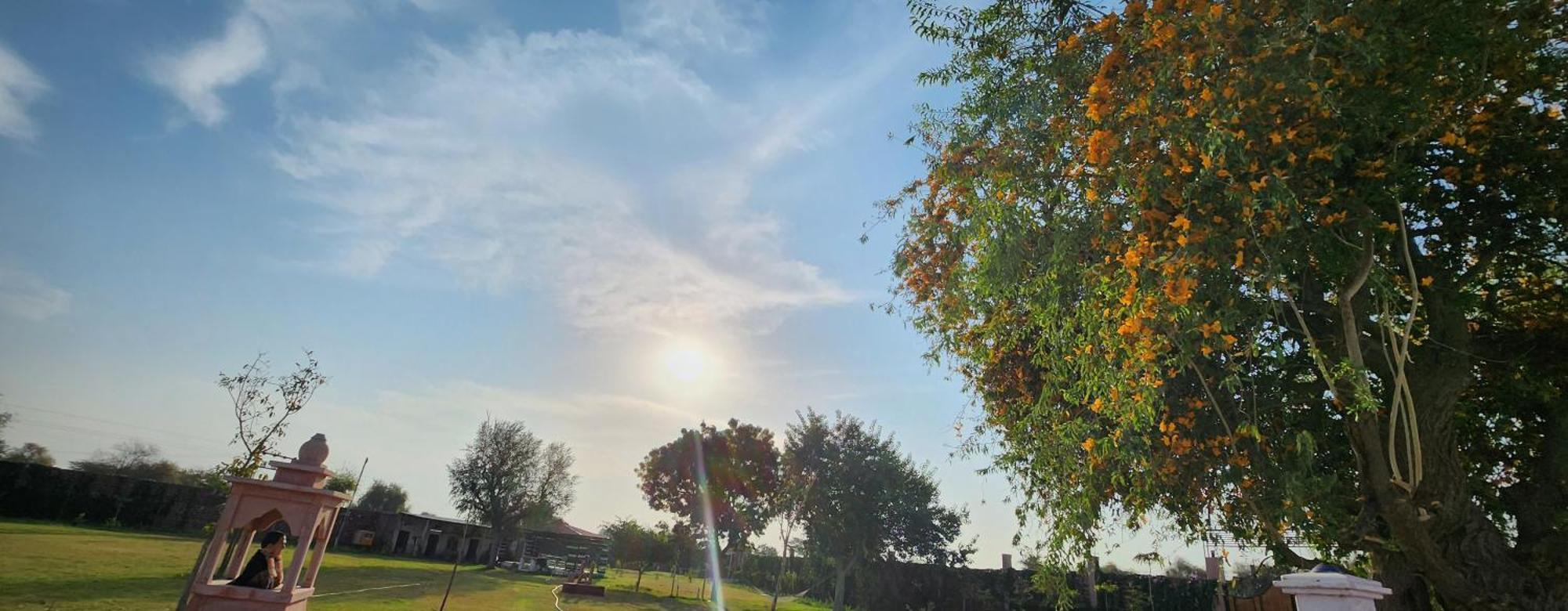Holiday Farm Jodhpur Dźodhpur Zewnętrze zdjęcie